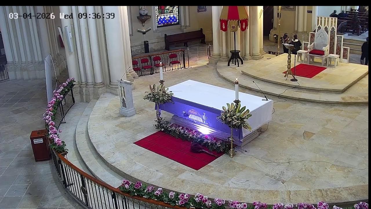 Transmisión Eucaristía Basílica de Lourdes   2024