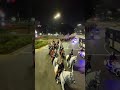 Así marcharon los Granaderos por Avenida Del Libertador hacia la Plaza de Mayo
