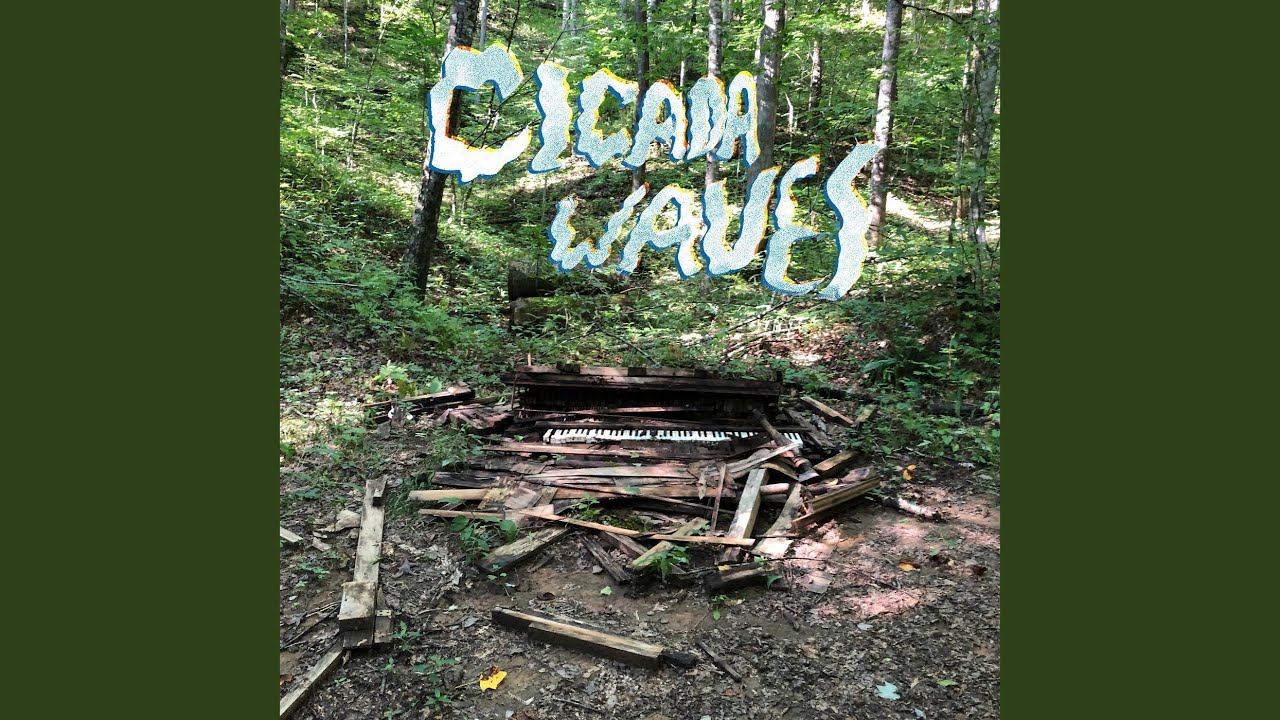Watch Cicada Waves 2 on YouTube Watch Cicada Waves 2 on YouTube