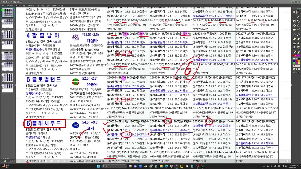 8월8일  토요경마  예상