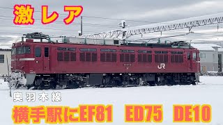 【激レア】　横手駅にEF81 ED75 DE10が集合