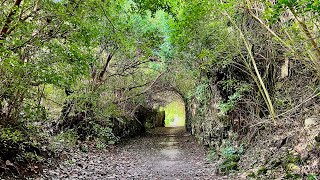 Nature Trip Along Railway Trail | Bermuda Vlog