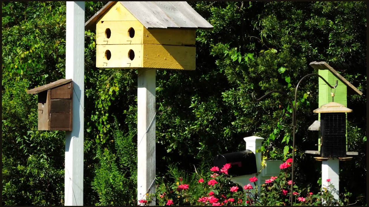 Mint Farm, Beaufort SC YouTube