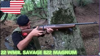 მცირეკალიბრიანი შაშხანა სავაჟი ბ22 მაგნუმი,  22 WMR. savage b22 magnum. Fake gun. Fake situation