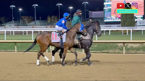 Half Sister of Kentucky Oaks Winner Pretty Mischievous Among 2YO Fillies in 2025 Golden Rod Stakes