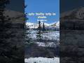 Day 3 in Denali National Park: More Wildlife & Scenic Views 🦅🏞️ | Alaskan Adventure Continues!