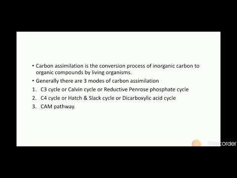 ვიდეო: რა არის ასიმილაცია ნახშირბადის ციკლში?