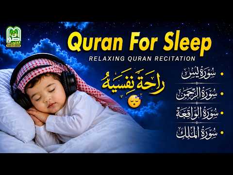 Beautiful Quran Before Sleep 🌙 | Surah Yasin, Ar-Rahman, Al-Waqiah & Al-Mulk | Peaceful Recitation