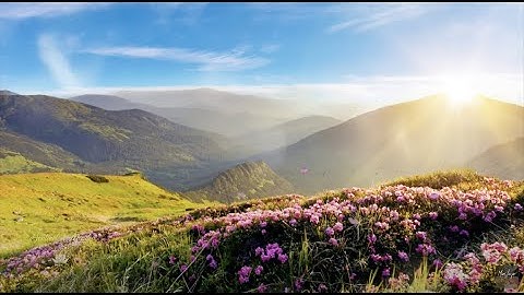 Thumbnail of Sentinel Meadow - Mars Lasar - Valley of The Giants