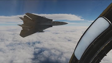 DCS World: How to change aircraft/ heli FOV