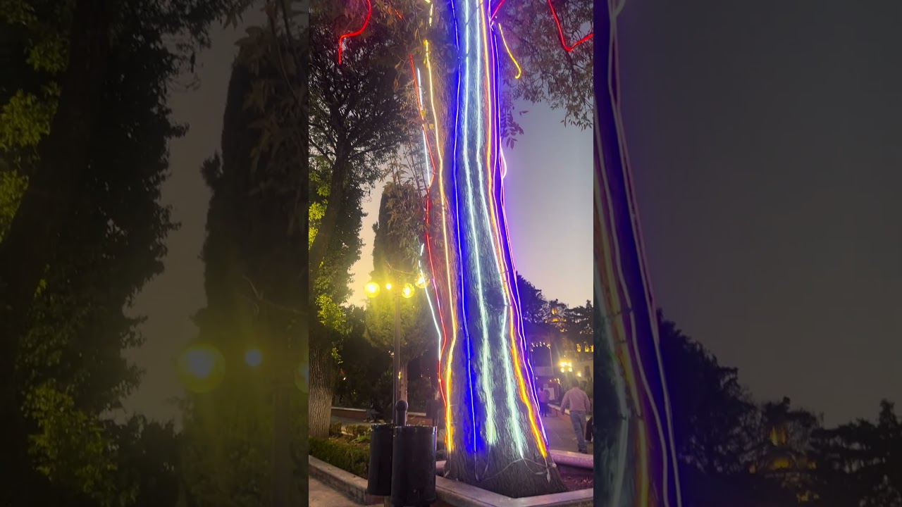 Naturaleza y modernidad en conjunción