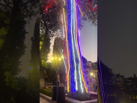 Naturaleza y modernidad en conjunción