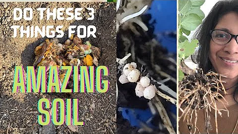 3 GREAT TIPs for building healthy, living soil FAST!
