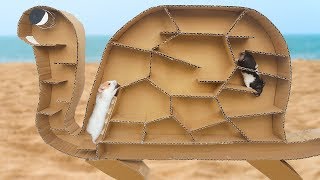 Hamsters in Turtle Maze For Three Cute Hamsters 🐹🥇 | LOH