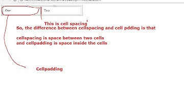 HTML5 table - Tutorial Rays | By Umar Rahman