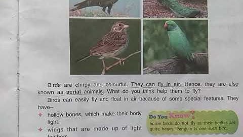 DAV Nahan Class-III Science Lesson-7, Part-1