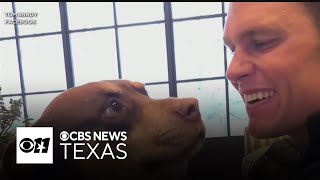 Celebrities turn to Dallas-based biotech company to clone beloved pets, sparking debate over science