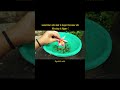 Blessing is bigger 🥹✨.#videoshort#photography#lifehacks #reality#viralreel#qoutes#instagood#trending