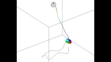 3D elastic string pendulum attached to a rigid body and a reel mechanism