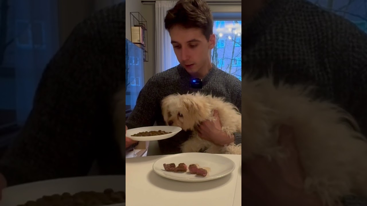 Hundemat vs 2000,- Biff