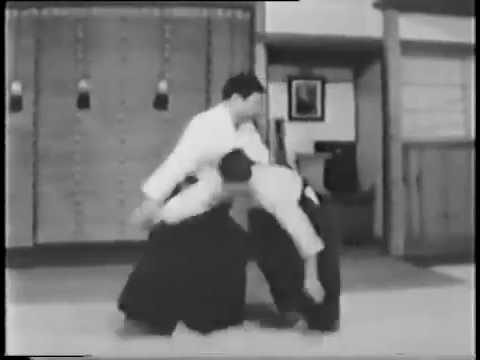 aikido Body techniques