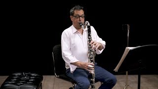 Instrument: Bass Clarinet (In Depth)