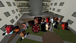 Obunga family chases me