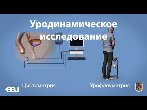 Уродинамическое исследование (EAU - URDY RU)