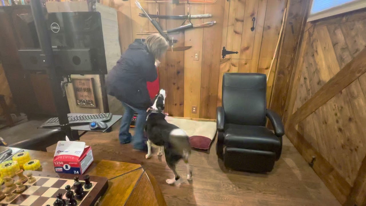 Killer Dog Attacks Owner YouTube