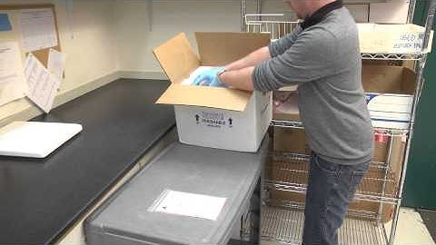 Anatek Labs - Packing Cooler for Shipping Samples
