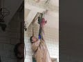Door &amp; Window Cutting Machine 🏠 Full Process in 30 Seconds