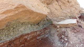 A day at the beach - Desert fossil search
