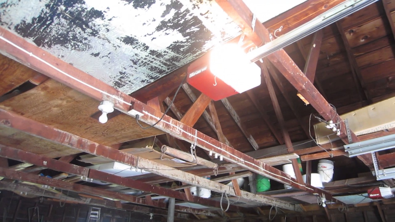 My Grandma's Garage Doors