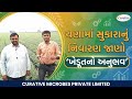 ચણામાં સુકારનું માટેનું નિયંત્રણ