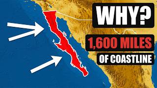 Over 1,600 Miles of Coastline. Why Baja California's Geography is Absolute Overpowered!