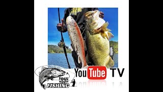 Cheap line through swim bait  "What can line through do for you?"