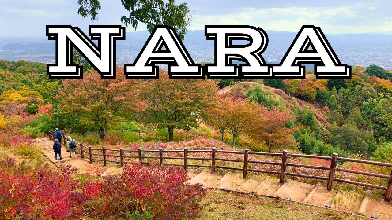 I Found the Most Peaceful Place in Japan | Nara Autumn Vlog | Solo Travel