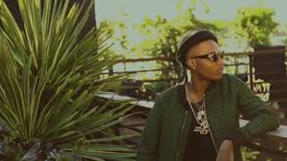 wizkid - fever (slowed down)