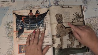 ASMR ~ Spooky Creatures! Loch Ness Monster, Dragons, and more! ~ Soft Spoken Halloween screenshot 4