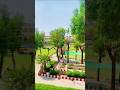 Government college university 🌿🍃#foryou#views#shorts #love#education#beauty#shortsfeed#youtube#gcuh.