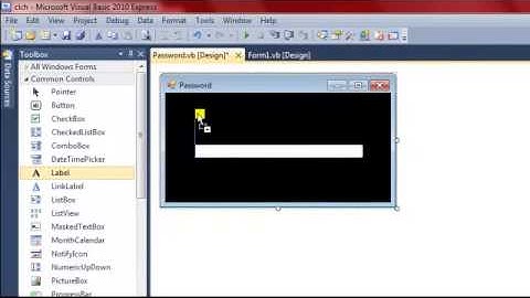 وضع باسورد لاي برنامج تصنعة في الفيجوال بيسك 2010 - 2008 [vb net]