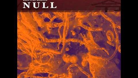 KK NULL "Cryptozoon 2" (excerpt).