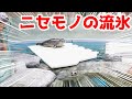 【出産準備・解説】アザラシプールに作り物の流氷を浮かべました！【ゴマフアザラシ】