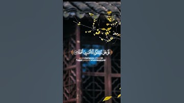 القران الكريم ❤️💯☪️ #اكسبلور #دويتو #لايك #الرحمن #المنذر #المصحف