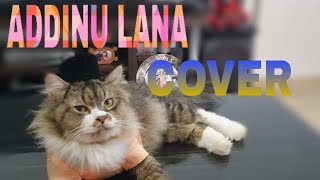 ADDINU LANA  ( COVER ) BY HANA