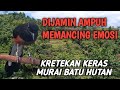 MASTERAN MURAI BATU // kretekan keras murai batu hutan dijamin ampuh memancing emosi lawan