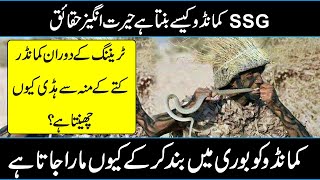 SSG Commandos Selection and Training Procedure