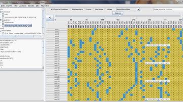 Association Mapping using TASSEL 5 sofware.