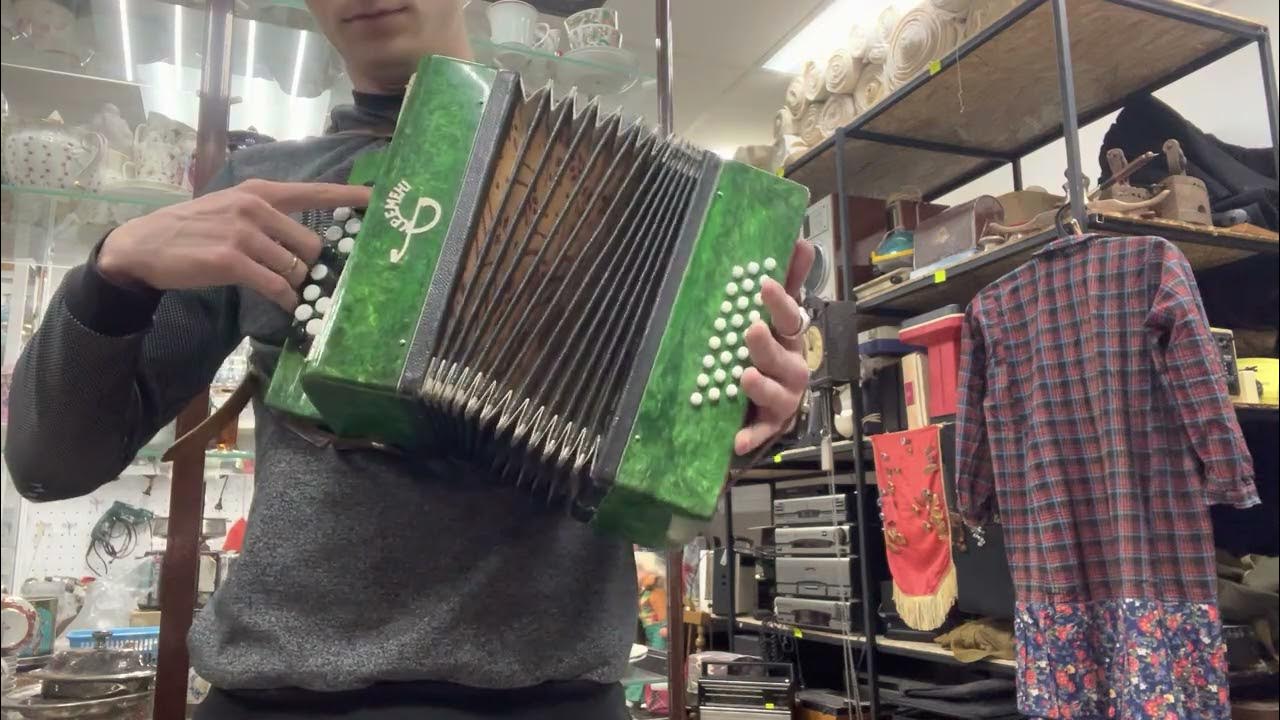 Гармошка Кременное - YouTube