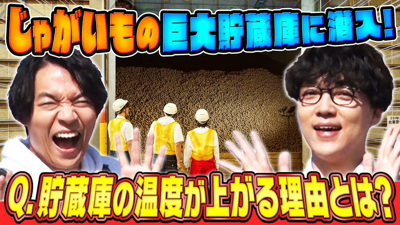 QuizKnockが潜入！じゃがいもの収穫・貯蔵のこだわりに迫る【クイズ！掘りだせカルビー】#2
